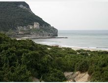 Veduta costiera con spiaggia sabbiosa e mare calmo, affiancati da una grande scogliera boscosa con una torre in pietra sulla parete rocciosa. In primo piano si vedono dune e vegetazione mediterranea che degradano verso la riva.