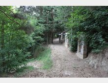 Sentiero sterrato in un bosco fitto, circondato da alberi e vegetazione, con una serie di piccoli pilastri o cappelle in pietra lungo il lato destro. Il percorso curva leggermente e presenta terreno irregolare con aghi e pigne sparse.