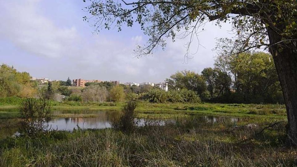 561-6c05af8a767237b068092355caabdbabjpg