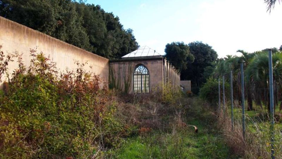 Vista di un lungo corridoio esterno invaso da erba e cespugli, affiancato da un alto muro e da una recinzione metallica con palme. In fondo si vede un edificio in muratura con grande finestra ad arco e copertura in vetro, circondato da alberi.