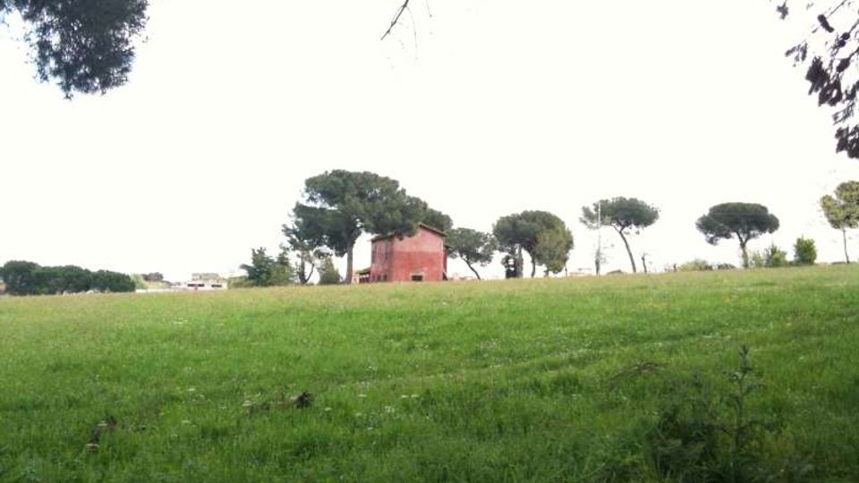 51914-photo-img-0417-jpgjpg