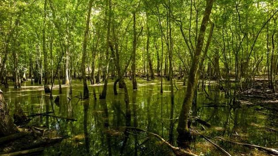 54067-photo-piscina-verdesca-760x475-jpgjpg
