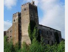 Castello medievale in pietra con alte torri quadrate e mura massicce, parzialmente coperto da vegetazione rampicante. La struttura si staglia contro un cielo azzurro con nuvole, circondata da cespugli e alberi.