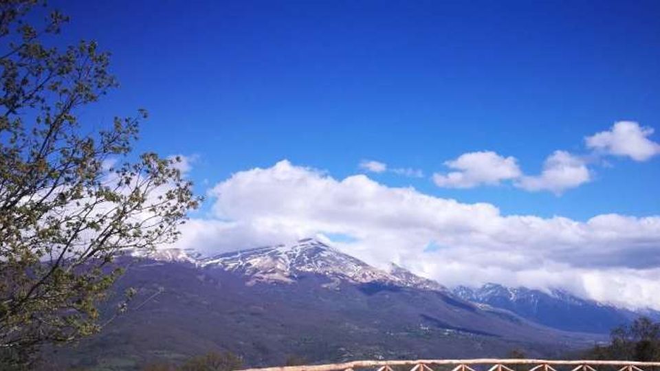Vista panoramica di una catena montuosa con cime innevate sotto un cielo azzurro con nuvole bianche. In primo piano si vedono rami di un albero sulla sinistra e una staccionata in legno lungo il bordo inferiore dell’immagine.