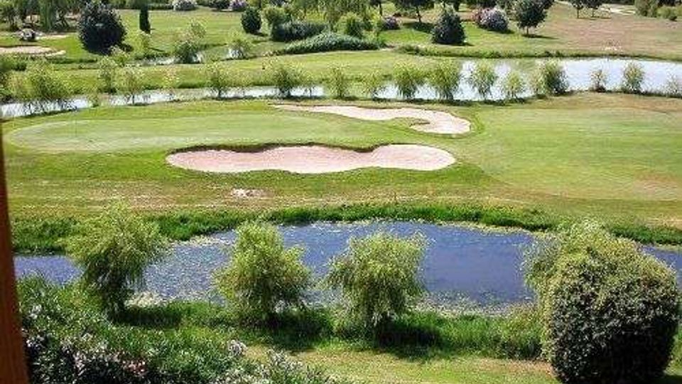 55777-photo-09-jpgjpg