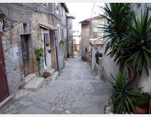 Vicolo stretto e in discesa di un borgo storico, con pavimentazione in pietra e case in muratura grezza addossate ai lati. Si vedono piccole porte e finestre, vasi con piante appesi e grandi piante ornamentali sul lato destro.