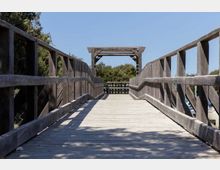 49980-photo-flm-7864-spiaggia-riserva-di-castel-porziano-jpgjpg