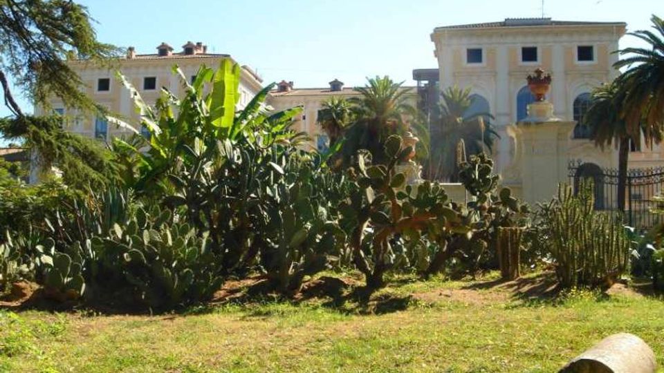 Giardino urbano con prato e aiuole di piante tropicali e succulente, tra cui palme e cactus. Sullo sfondo si vedono edifici chiari in stile classico con finestre e archi, oltre a una recinzione metallica.