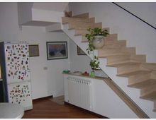 477-3a9d5fe1fe759113a4417c4af529607cjpg