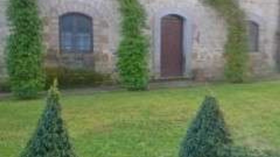 1254-4d51bca59c0e11893d2ca95dd9fb2d67jpg