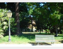 Parco urbano con prato e fitta vegetazione di alberi e palme, con un lampione in stile classico sul lato sinistro. In primo piano c’è una panchina di legno vicino a un sentiero chiaro, con un edificio parzialmente visibile sullo sfondo tra gli alberi.