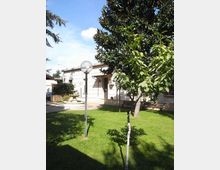 Cortile con prato verde e alberi, con lampione sferico al centro e panchine lungo il muro. Sullo sfondo si vede un edificio chiaro a un piano con ingresso e, a sinistra, una piccola fontana decorativa.