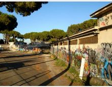Cortile esterno con pavimentazione in cemento, affiancato da lunghi edifici bassi con finestre alte e pareti ricoperte di graffiti. Sullo sfondo si vedono grandi pini e un cielo sereno sopra un’area dall’aspetto industriale dismesso.