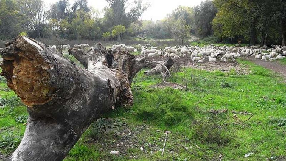 560-4b8a0b4f0e1589c73cc99ce43024c7adjpg