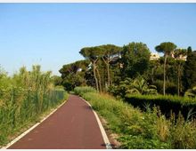 Pista ciclabile asfaltata color rosso che curva tra vegetazione alta e cespugli, con rete verde lungo il bordo sinistro. Sullo sfondo si vedono pini marittimi e palme sotto un cielo sereno, con edifici parzialmente visibili tra gli alberi.