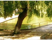 525-d111ec441e53800877a9e588b189f651jpg