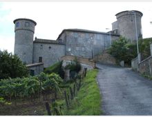 Edificio storico in pietra con due torri cilindriche merlate, situato su un pendio. In primo piano una strada asfaltata in salita con muretti e lampioni, affiancata da vegetazione e filari di vigneto.