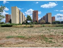 Ampia area erbosa e incolta in primo piano, delimitata da una recinzione, con sullo sfondo un complesso di alti palazzi residenziali a blocchi e balconi. Alberi sparsi e cielo azzurro con nuvole bianche completano la scena urbana.