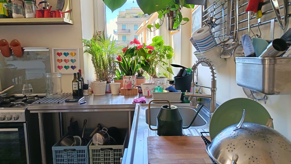 Cucina domestica luminosa con ampia finestra su palazzi vicini, piano di lavoro e lavello in acciaio inox con scolapiatti. Mensole e barra porta-utensili alle pareti, elettrodomestici e numerose piante in vaso sul davanzale e sul piano.