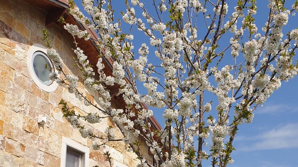 20210403-114608jpg_KOX