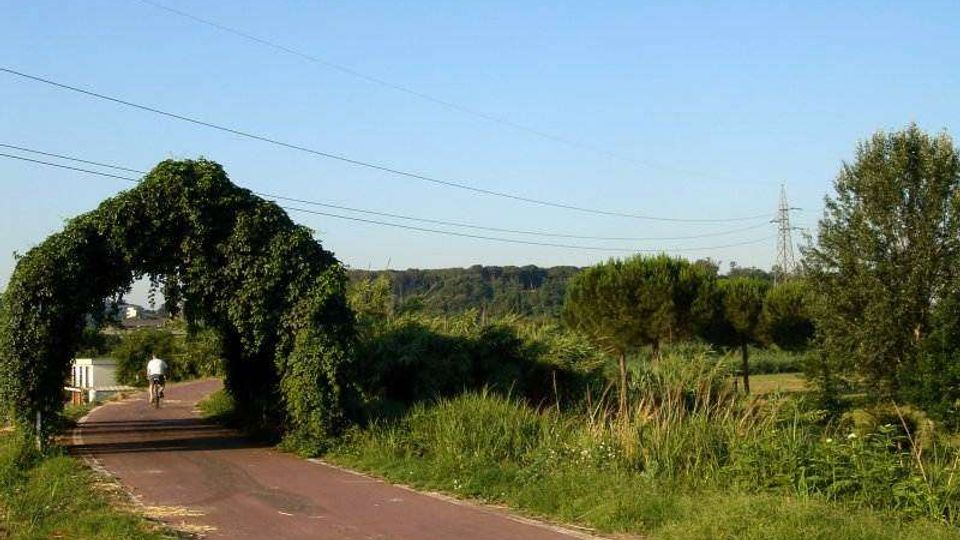 Pista ciclabile asfaltata che attraversa una zona rurale, con un arco di vegetazione che copre parzialmente il percorso. Ai lati ci sono prati e cespugli, con cavi elettrici e un traliccio sullo sfondo sotto un cielo sereno.