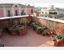 Terrazza su tetto con pavimento in piastrelle di terracotta e parapetto basso intonacato, con numerosi vasi e fioriere di diverse dimensioni disposti lungo i bordi. Sullo sfondo si vedono edifici cittadini con facciate colorate e tetti in tegole.
