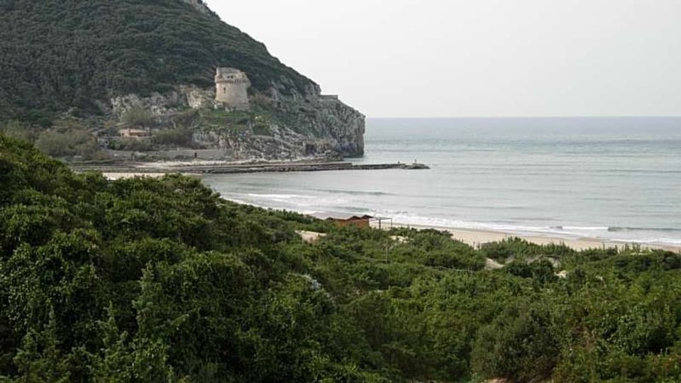 Veduta costiera con spiaggia sabbiosa e mare calmo, affiancati da una grande scogliera boscosa con una torre in pietra sulla parete rocciosa. In primo piano si vedono dune e vegetazione mediterranea che degradano verso la riva.
