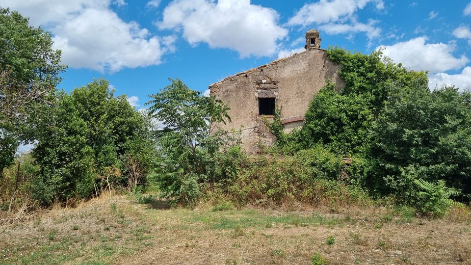 Rudere di una casa rurale in muratura con intonaco degradato, finestra senza infissi e piccolo comignolo sul tetto. L’edificio è parzialmente coperto da vegetazione fitta e alberi, con terreno erboso secco in primo piano e cielo azzurro con nuvole sullo sfondo.