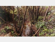 52051-photo-p-20160402-155812-1024x576-jpgjpg