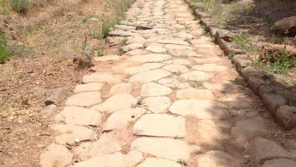 Antica strada lastricata in pietra che attraversa una stretta gola, con pareti rocciose su entrambi i lati e vegetazione bassa lungo i bordi. Sullo sfondo si vede un’area boscosa che chiude il passaggio.