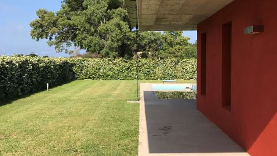 53197-photo-img-5576-jpgjpg