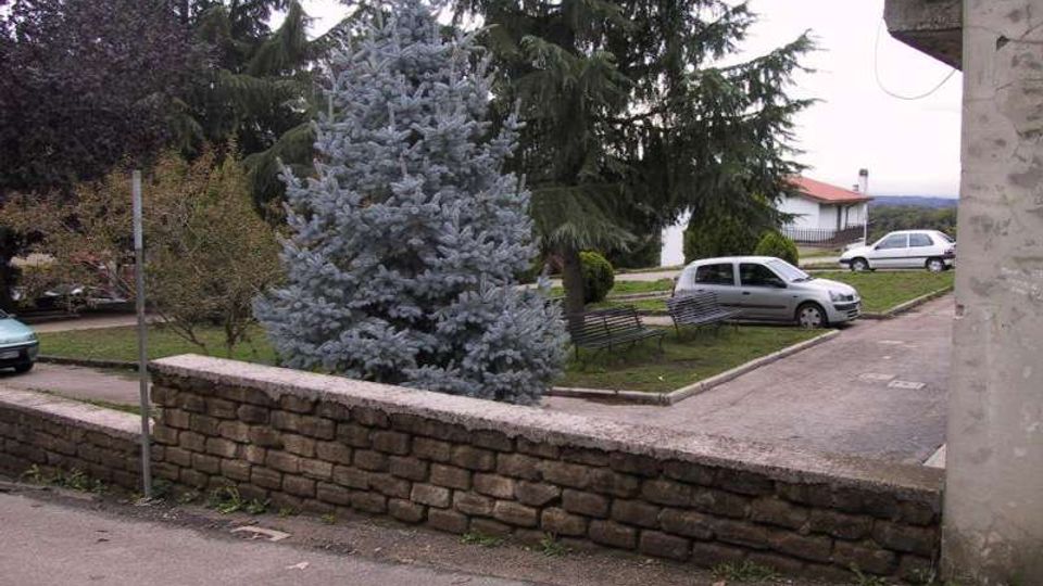 Area verde residenziale con un grande abete blu al centro, panchine e vialetti, delimitata da un muretto in pietra in primo piano. Sullo sfondo si vedono auto parcheggiate, alberi alti e alcuni edifici bassi ai margini della strada.