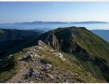 51854-photo-prmsinov31486-img2-jpgjpg