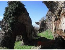 55913-photo-681135-orig-jpgjpg