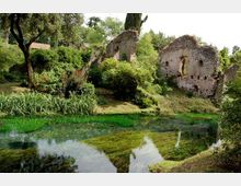 52204-photo-ninfa-2-jpgjpg