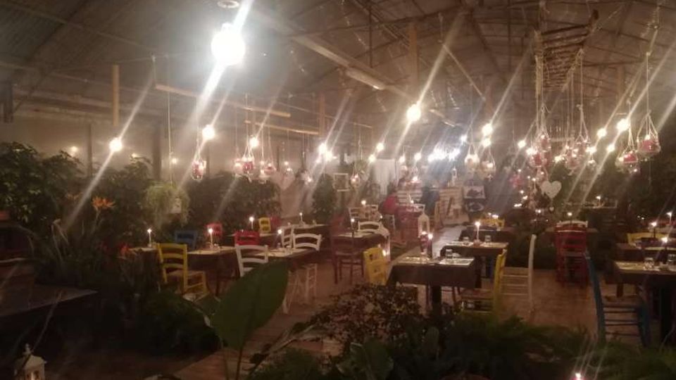 Ampio ristorante all’interno di una serra con struttura metallica e soffitto alto, illuminato da numerose lampadine sospese e lanterne. Tavoli apparecchiati con sedie colorate sono distribuiti tra molte piante e decorazioni appese.