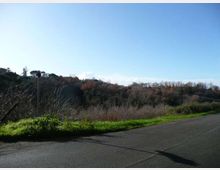 870-4f69110201b70e4ecdbced4fa7cd1b88jpg