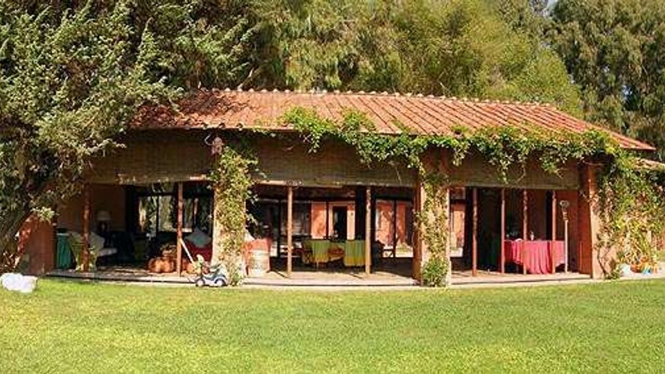 Casa di campagna a un piano con tetto in coppi, portico con colonne e grandi vetrate scorrevoli, parzialmente coperta da rampicanti. È circondata da un ampio prato verde e alberi alti che fanno da sfondo.