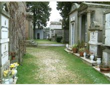 Viale interno di un cimitero con sentiero di ghiaia e prato, affiancato da tombe e cappelle in pietra e marmo con iscrizioni. Ai lati si vedono vasi di fiori e piccoli arbusti, con alberi alti sullo sfondo.