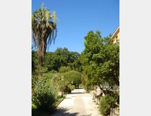 Viale pedonale in un giardino con vegetazione mediterranea, alberi e una grande palma, con lampioni lungo il percorso. Sul lato destro si intravede l’edificio del complesso, mentre lo sfondo è chiuso da alberi e colline verdi sotto un cielo sereno.