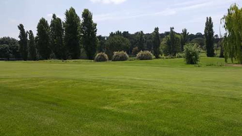 Ampio prato verde e curato in un parco, con alberi alti e cespugli sullo sfondo. Cielo parzialmente nuvoloso sopra una linea di vegetazione che delimita l’area aperta.