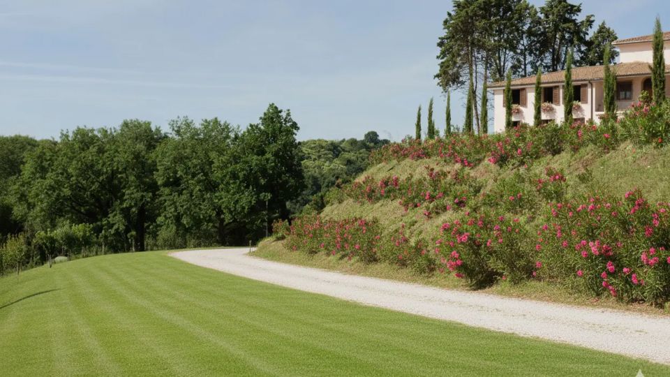 Strada bianca sterrata che curva accanto a un prato verde curato, ai piedi di una collina con cespugli fioriti rosa. In alto si vede una villa in stile rurale con tetto in tegole, circondata da cipressi e alberi.