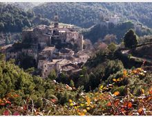 Veduta panoramica di un borgo storico in pietra su un pendio, con case addossate e un campanile centrale. Il villaggio è circondato da colline boscose, vegetazione in primo piano e un edificio fortificato su un’altura sullo sfondo.