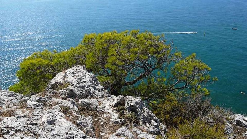 576-cf1e8e5fc3700d7b5b223ee63a89b777jpg