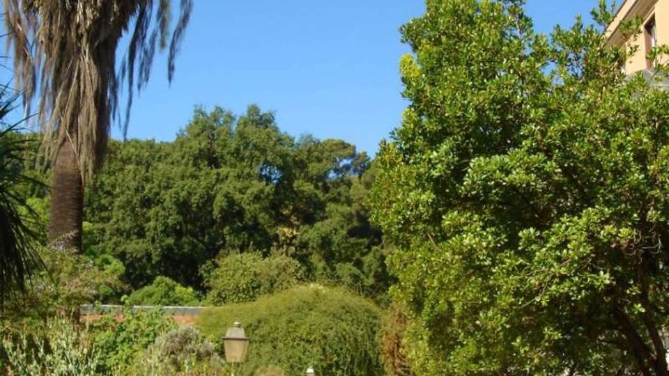 Viale pedonale in un giardino con vegetazione mediterranea, alberi e una grande palma, con lampioni lungo il percorso. Sul lato destro si intravede l’edificio del complesso, mentre lo sfondo è chiuso da alberi e colline verdi sotto un cielo sereno.