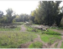 560-9388fb8756cc5d131d39611ef845646ejpg