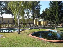 Area verde con prato e alberi alti, con due piccole vasche d’acqua poco profonde bordate in mattoni e collegate da un canale stretto. Sullo sfondo si vedono una staccionata in legno, un edificio basso e una piccola struttura gialla con tetto verde.