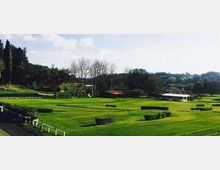 55817-photo-images-1-jpgjpg