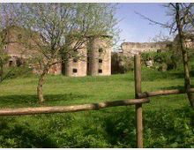 52174-photo-cervelletta-jpgjpg