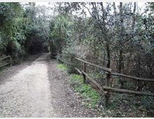 612-c238c085654e3fc5f1c94a571d65d388jpg